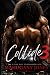 Collide 3 (A Collide Book S...