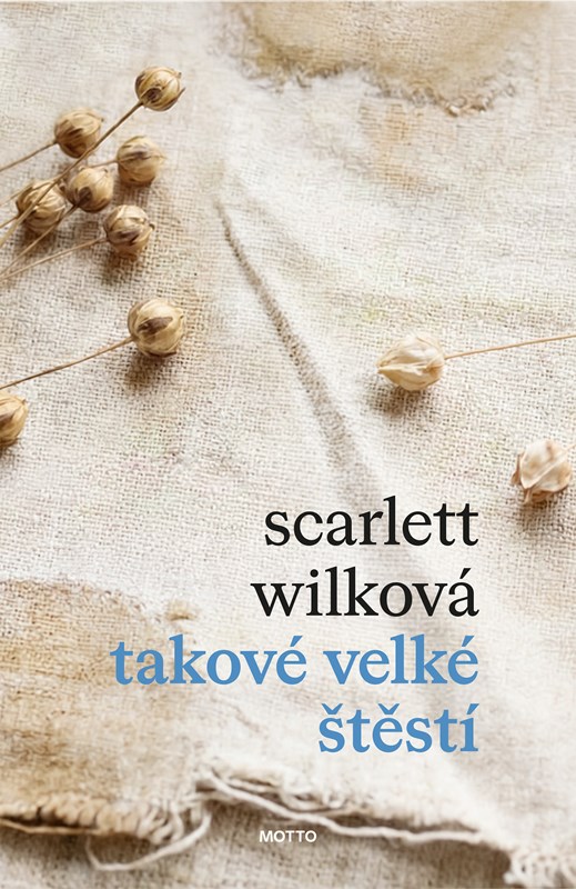 Read Takové velké štěstí