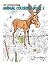 Mid-Century Modern Animal Coloring Book 2 by Travis Holycross