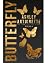 Butterfly 6 by Ashley Antoinette Butterfly 6 by Ashley Antoinette