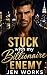 Stuck with my Billionaire E...
