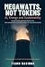 Megawatts, Not Tokens: AI, Energy and Sustainability