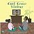 Casi Como Visitar by Shannon Ellis