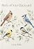 Birds of Your Backyard: How...
