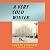 A Very Cold Winter: The rediscovered Italian classic from a forgotten feminist author