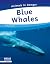 Blue Whales