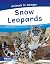 Snow Leopards