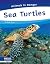 Sea Turtles