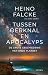 Tussen oerknal en apocalyps: De grote geschiedenis van onze planeet (Dutch Edition)