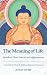 The Meaning of Life by Jonas Over