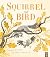 Squirrel and Bird