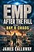 EMP After the Fall - Book 1 - Day 0 Chaos by James Calloway