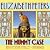 The Mummy Case (Amelia Peab...