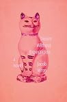 Desire Without Ex...