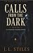 Calls From The Dark by J. L. Stiles