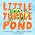 Little Turtle Pond by Carter Higgins