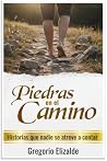 PIEDRAS EN EL CAM...