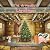The Armadillo's Christmas