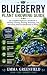 BLUEBERRY PLANT GROWING GUI...