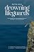 Drowning Lifeguards: Your g...
