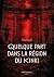 Quelque part dans la région du Kinki (French Edition)