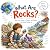 What Are Rocks? by Mary Lantern