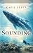 SOUNDING: A novel