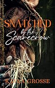 Snatched by the Scarecrow