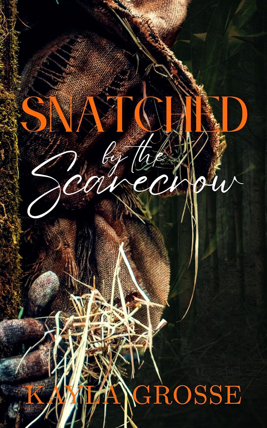 Read Snatched by the Scarecrow (Holiday Hookups #3)
