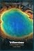 Yellowstone: A Nature & Wil...