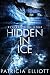 Hidden In Ice
