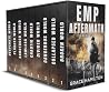EMP Aftermath: 9-...