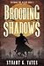 Brooding Shadows