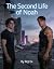 The Second Life of Noah