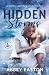Hidden Storms (Haven Lake Romance)