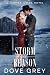 Storm of Reason: An Enemies...