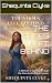 THE SHOES I LEFT BEHIND  by Shequinta Clyke