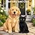Barnaby and Cleo