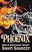 Phoenix (Rajwanshi Brothers Saga Book 3)
