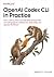 OPENAI CODEX CLI IN PRACTIC...
