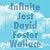 Infinite Jest (30th Anniver...