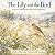 The Lily and The Bird: A St...