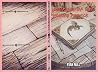Journal Of The Young Prince (The Flare Chronicles)