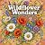 Wildflower Wonders - A Botanical Journey Through Nature's Blo... by Sara Beth