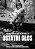 Ostatni głos