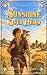 Sunshine over Hero (Tales o...