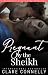 Pregnant by the Sheikh: A p...
