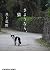 さようなら、猫 (光文社文庫)