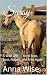 Sassy: A Wild Life — Born F...