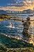 The Master’s Guide to Fly Fishing the Blue River: From Hoosier Pass to the Colorado River - Including the Fraser, Williams Fork and Surrounding Waters (Fly Fishing Guide Books)